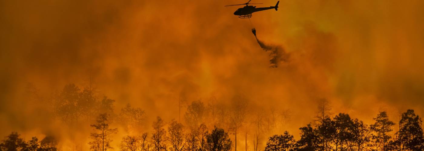 Featured Image for Western Fire LLC
